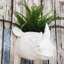 Planter-607660526