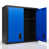 Blue/Black is out of stock