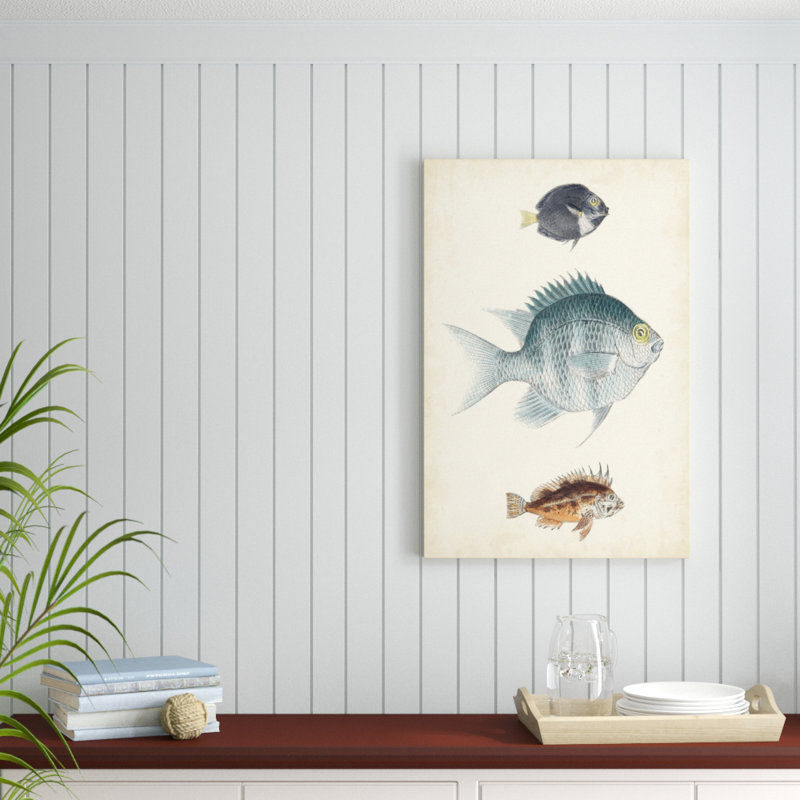 «Antique Fish Species III», peinture sur toile, H 36 po x l 24 po