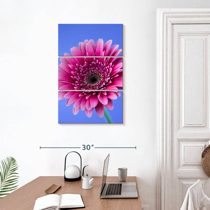 Rose Harnek Gerbera Daisy I, H 32 po x l 20 po