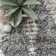 Hedlund Geometric Indoor Rug
