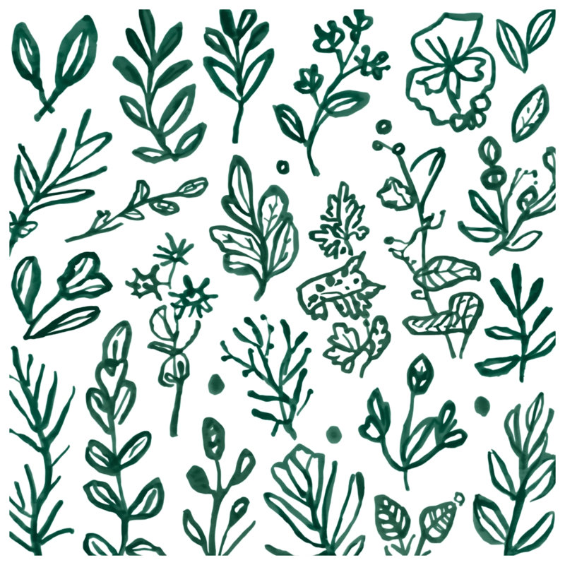Tapis de bain Green Botanical Illustration, L 34 po x L 21 po