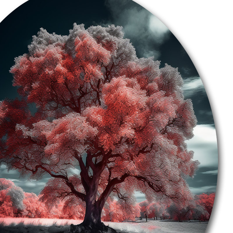 Ophion Red Tree Winter Haven sur impression sur métal, H 23 po x l 23 po x P 1 po