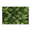 Tapis d'intérieur et d'extérieur vert Nature-1812335021