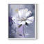 Série FLORAL CDxxxi - reproduction encadrée de qualité supérieure - prête à être accrochée - aucun clou requis-1067018919-1067018913