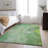 Premium Machine Washable Cerrito AMF511 Green Rug-103831280
