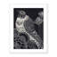 Brid III Painting by Jimena Arechavala-48616233-48616229