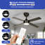 Ventilateur de plafond 48 po avec lumières DEL Lorrie