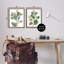 «Soft Eucalyptus Plant Ombre Leaves», ensemble de 2 toiles flottantes encadrées par Melissa Wang-59983923-59983925