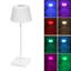 Lampe de bureau Kizi USB