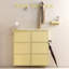 Billy 9 Pair Shoe Storage Cabinet