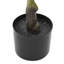 125cm Plant