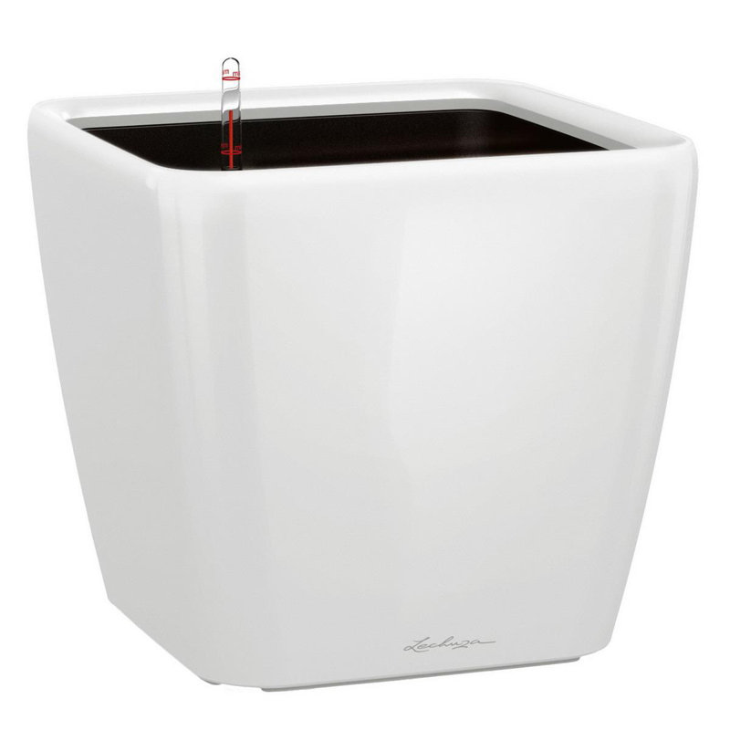 Quadro Premium Pot Planter, White, 26cm H x 28cm W x 28cm D