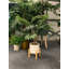 60cm Faux Palm Plant in Pot Liner