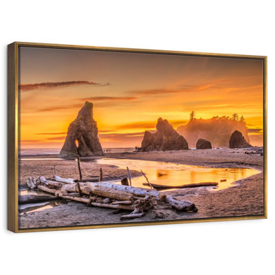 Olympic National Park I