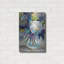 "Transparent" par Jeanette Vertentes-2036401676