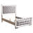 Philip Standard Bed-246852402-246852406