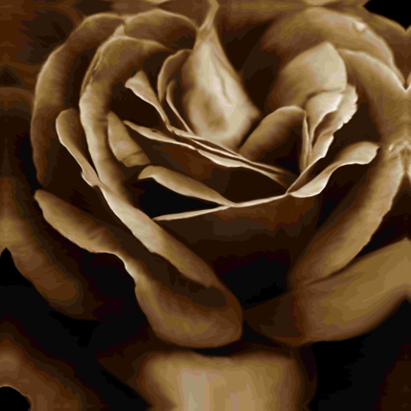 Sépia rose - impression sur toile tendue, H 12 po x l 12 po