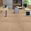 20'' W x 20'' L Textured Cut And Loop Mounting / Installation Required Polypropylene Plastic Carpet Tile