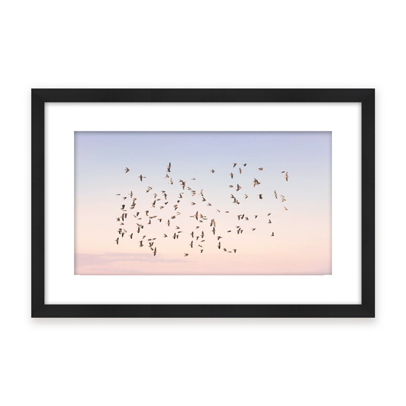 Nature Inspired Sunset Flight by  - Picture Frame Photograph on Paper, 24" H x 36" W x 2.375" D, Framed Canvas, Gold