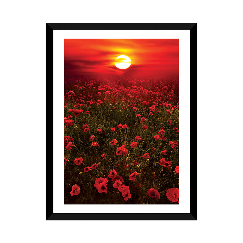 « chaleureux coucher de soleil » par marco carmassi-reproduction de photo, H 32 po x l 24 po x P 1 po, Papier avec cadre noir