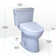 TOTO 1.28 GPF Elongated Floor Mounted Two-Piece Toilet (Seat Included)