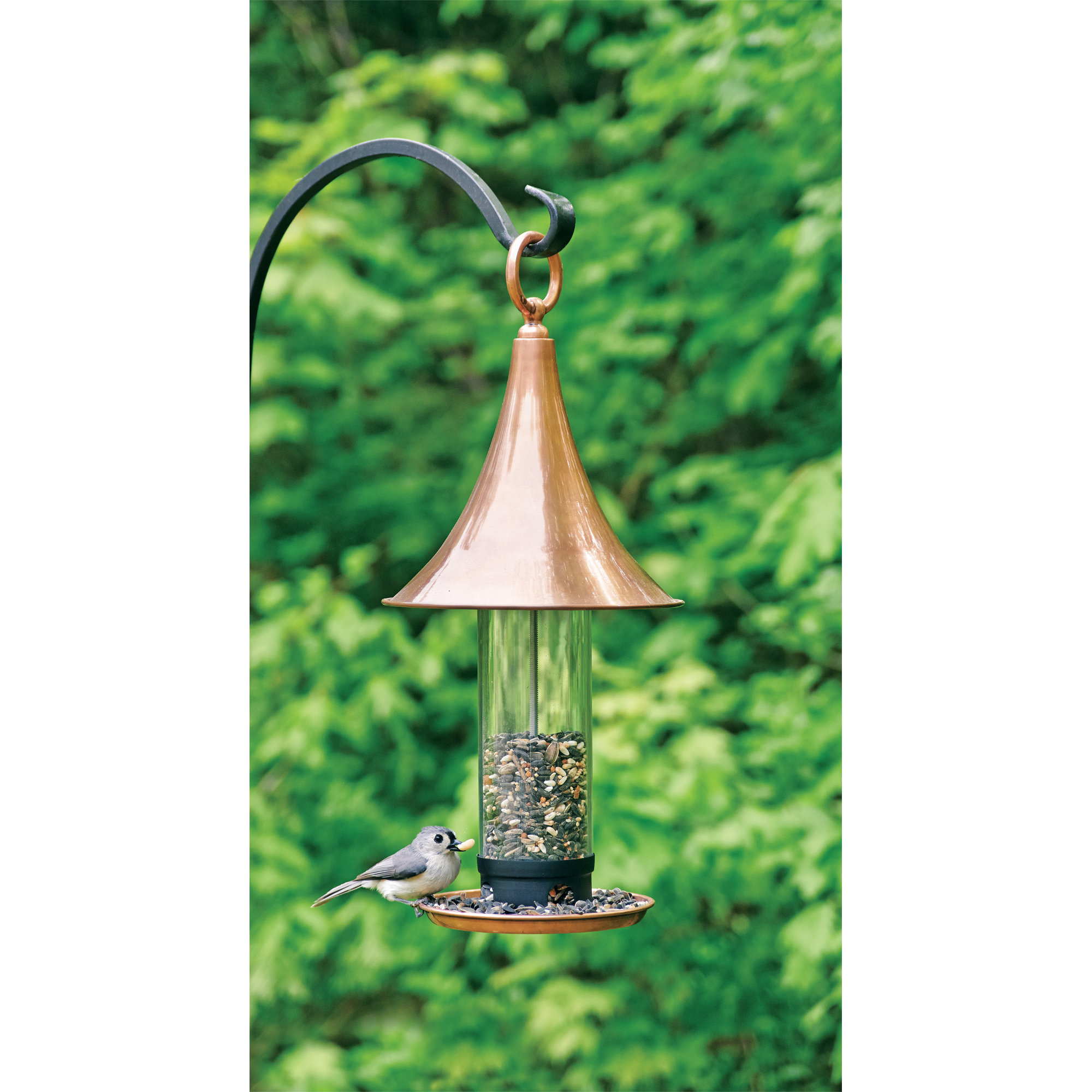Barlina Castella Tube Bird Feeder