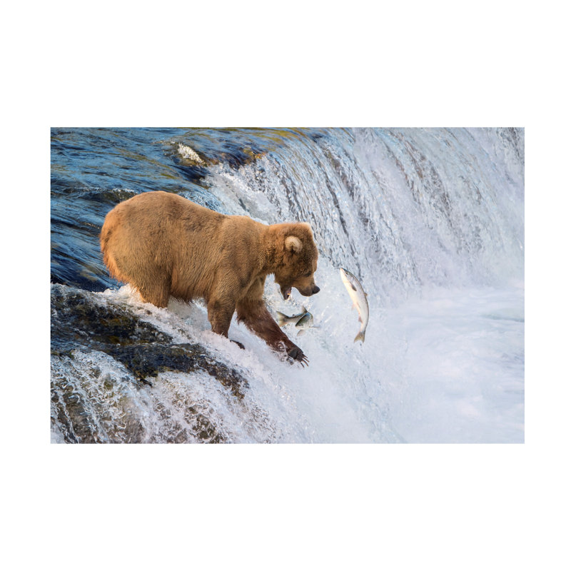 Renee Doyle Fishing On The Edge Canvas Art, H 16 po x l 24 po