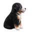 Animals Weather Resistant Polyresin Garden Statue