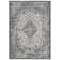 Arneshia Oriental Indoor/Outdoor Area Rug