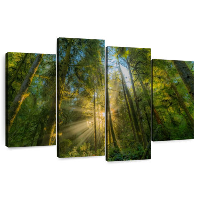 Kerrick Jedediah Smith Redwood Forest