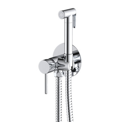 Queenscliff Rain Handheld Shower Head