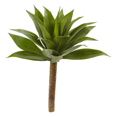 32'' Agave Plant
