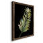 Frond II - reproduction de cadre photo sur papier-727950018-727950023