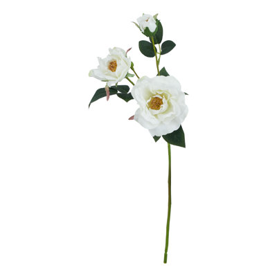 Arrangement