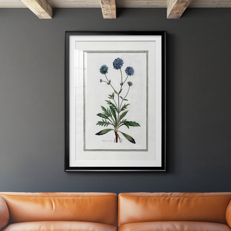 «Soft Botanical II», reproduction encadrée de qualité supérieure - prête à être accrochée, Cadre noir