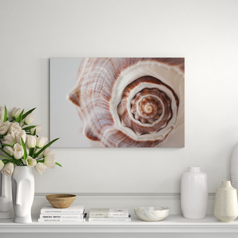 Sea Shell Print, 30" H x 40" W x 1.5" D