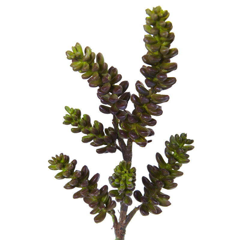 13'' Faux Succulent Plant