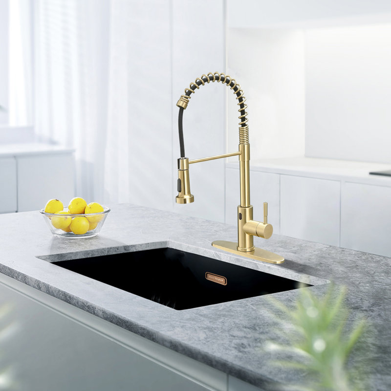 PENGFANG WORLDWIDE LLC Pull Down Touch Kitchen Faucet, Brushed Gold