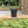 Pansy Ceramic Pot Planter