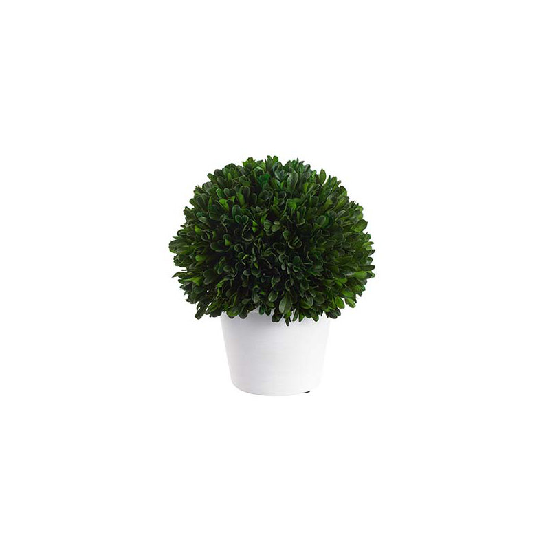 Topiaire 9,5 "en buis préservé en pot