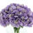 Hydrangea-104787820-104787821