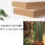Banc rembourré en similicuir Ruaridh
