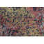 Tapis abstrait moderne fait à la main 5 x 8 po