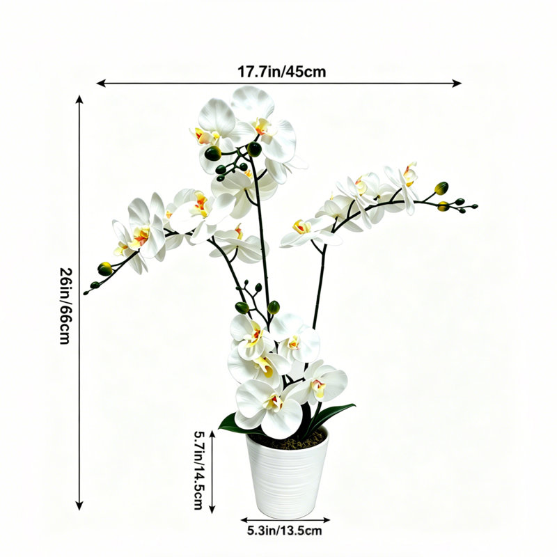 Arrangement