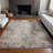 Machine Washable Indoor/Outdoor Segin ACN1179 Putty Rug-109514556