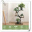 Support à plantes Magdiel