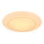 Dnyia LED Flush Mount