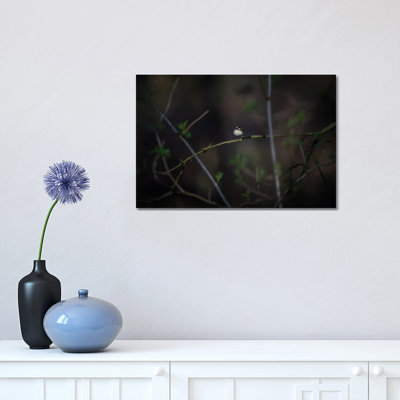 Glimmer 1 Piece Wrapped Canvas Wall Art