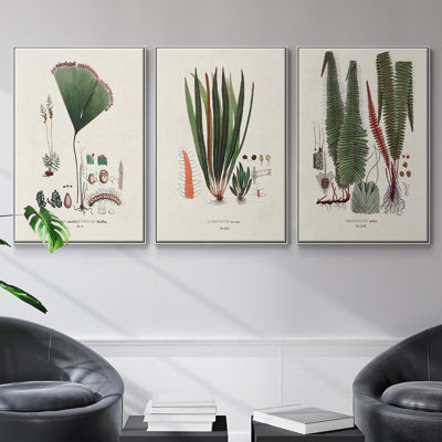 " Botanical Society Ferns IV " 3 - Pieces